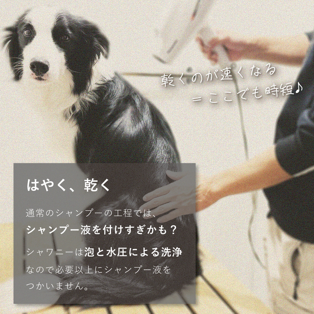 わんこを片手で簡単にササっとキレイに洗えるシャワーヘッド 「シャワニー・カラー」 | Shawany Color