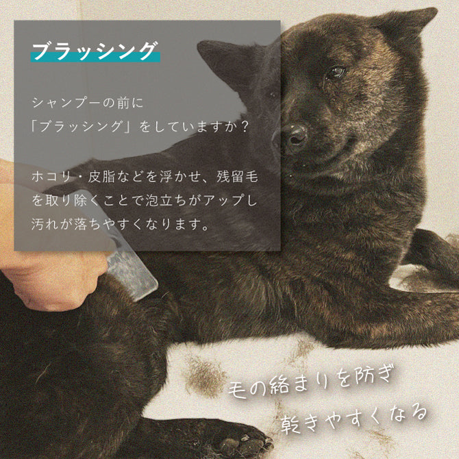 わんこを片手で簡単にササっとキレイに洗えるシャワーヘッド 「シャワニー・カラー」 | Shawany Color