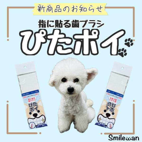 KPSオクチブラシ ぴたポイ　30枚入（犬・猫用）（犬・猫用）　使い捨て 歯ブラシ　 犬　猫 　歯磨き　  清潔 　衛生的　 デンタルケア