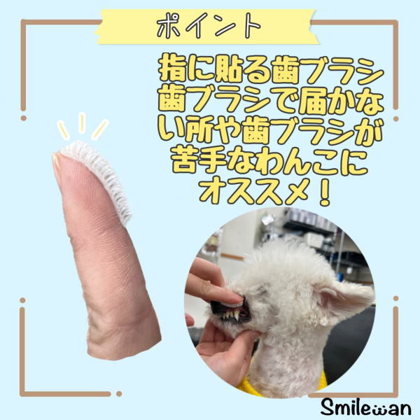 KPSオクチブラシ ぴたポイ　30枚入（犬・猫用）（犬・猫用）　使い捨て 歯ブラシ　 犬　猫 　歯磨き　  清潔 　衛生的　 デンタルケア