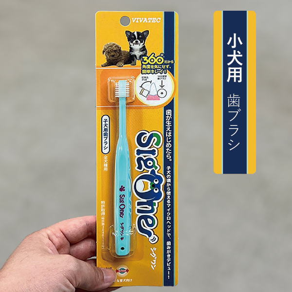 シグワン 歯ブラシ（超小型犬・小型犬・子犬用）歯みがき　歯石　歯垢　超極細毛　磨きやすい360°型