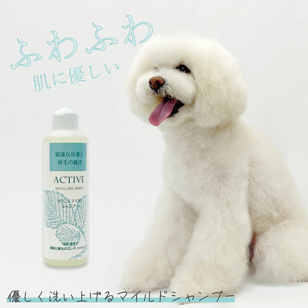 【アジル】ソワニエマイルドシャンプー（犬・猫用）低刺激性マグネシウム系洗浄剤　天然薬草成分 敏感な皮膚　アレルギー　アトピー 肌トラブル 手に優しい 柔らかい仕上がり マイルドシャンプー