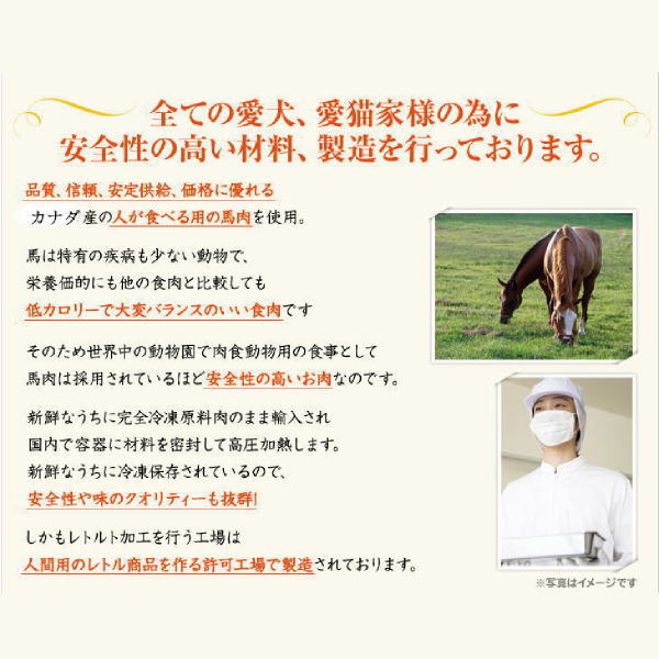 【Smilewan】げきうま君（犬・猫用）馬肉　無添加 無着色犬　猫　フード　ダイエット　肥満 レトルトパック