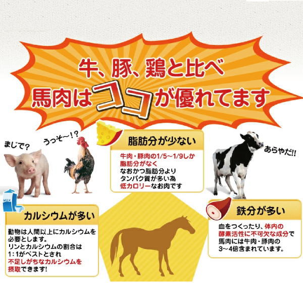 【Smilewan】げきうま君（犬・猫用）馬肉　無添加 無着色犬　猫　フード　ダイエット　肥満 レトルトパック
