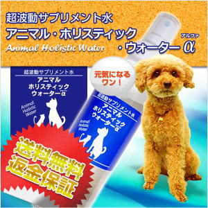 アニマル・ホリスティック・ウォーターα（犬・猫用）犬　猫　ペット 　飲み水　消臭スプレー　かゆみ止め　目のケア　ブラッシング　足裏ケア　口内ケア　耳　臭い【送料無料】
