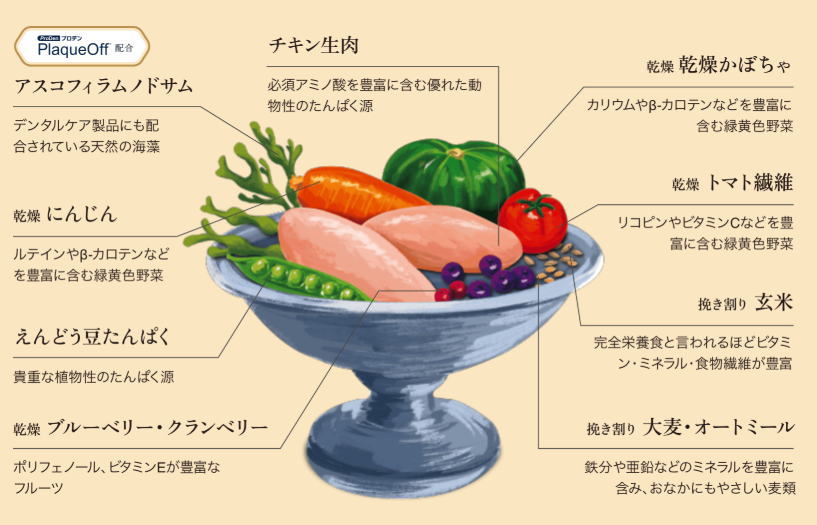 【パウレ 】 チキン (成犬用 )   天然のデンタルケア成分配合　アスコフィラムノドサム　天然の海藻　グルテンフリー　歯垢　歯石　口臭を軽減　チキン生肉　野菜　フルーツ