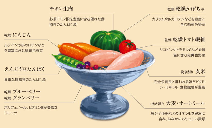 【パウレ 】 チキン (子犬用 )   グルテンフリー　妊娠中・授乳中の母犬　子犬　たんぱく質豊富　体づくりをサポート　チキン生肉　野菜　フルーツ