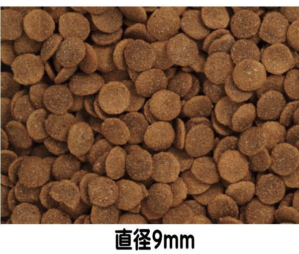 【C&R】プレミアムドッグ(ラム肉)普通粒 ドッグフード 犬 ナチュラルフード 自然食 成犬 ラム肉 中・大型犬 ミレット 魚 カノラオイル 玄米 ユッカ アマランサス