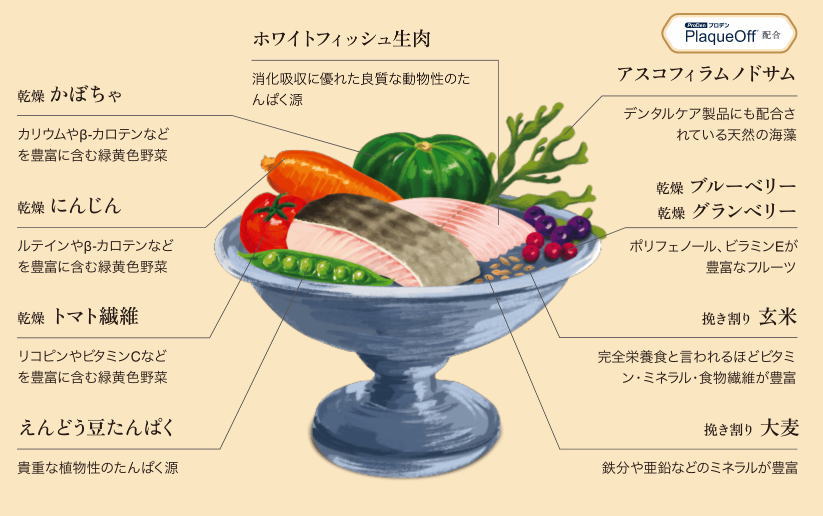 【パウレ 】 フィッシュ (全年齢用 ) 　天然のデンタルケア成分配合　アスコフィラムノドサム　天然の海藻　グルテンフリー　歯垢　歯石　口臭を軽減　ホワイトフィッシュ生魚　野菜　フルーツ