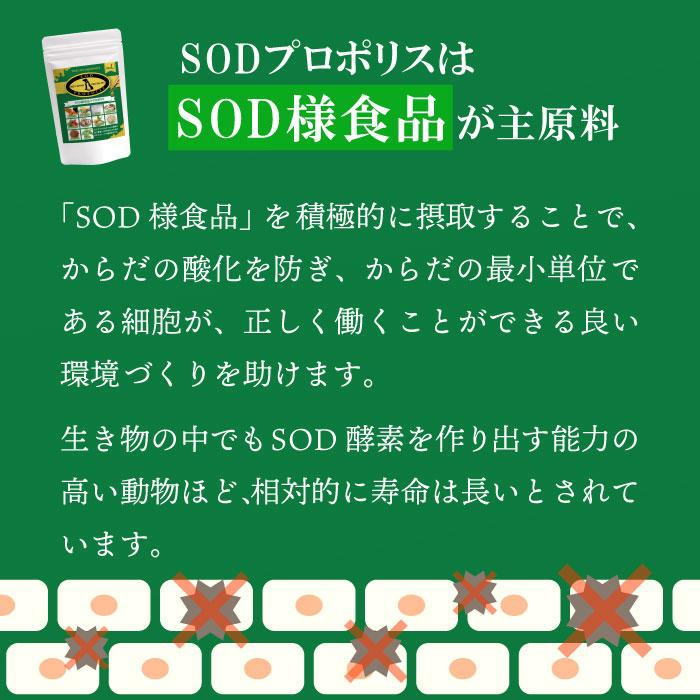 ＳＯＤ&プロポリス（犬・猫用）プロポリス　SOD　免疫力　犬　猫